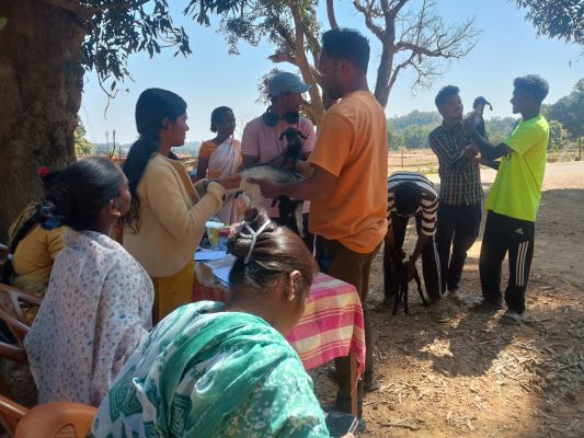 पशु केवल संसाधन नहीं, बल्कि ग्रामीण परिवार का अभिन्न सदस्य हैं&rdquo;&mdash;शासकीय नवीन महाविद्यालय मनोरा के विशेष शिविर में लगा निःशुल्क पशु चिकित्सा शिविर, खोखसों-बेंजोरा में सैकड़ों पशुओं की हुई जांच और उपचार