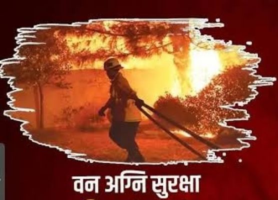 जशपुर वनमण्डल में अग्नि सुरक्षा अभियान शुरू &ndash; ग्रामीणों को आग लगने के दुष्परिणामों की दी जानकारी&nbsp;