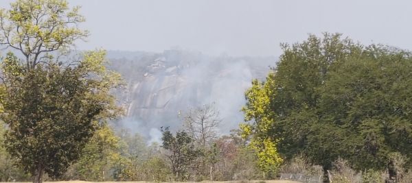 महुआ बीनने की आड़ में धधक रहा बादलखोल अभ्यारण्य, रोज भड़क रही जंगलों में आग&hellip; हाईवे से दिख रहा धुआं, फिर भी वन विभाग की गश्त और कार्रवाई पर उठने लगे बड़े सवाल