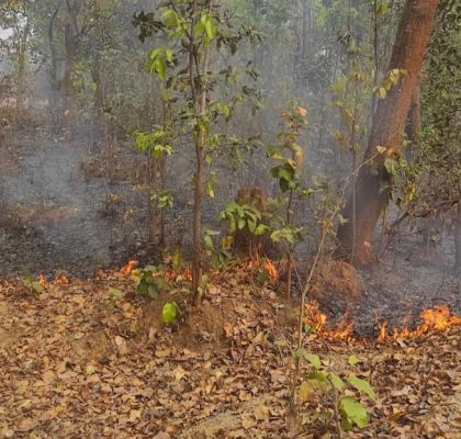 बादलखोल अभ्यारण्य धधक रहा, जंगल में रोज लग रही आग&hellip; विभाग मौन! सड़कों तक पहुंची लपटें, जिम्मेदारों की कार्यप्रणाली पर उठे गंभीर सवाल&rdquo;&nbsp;