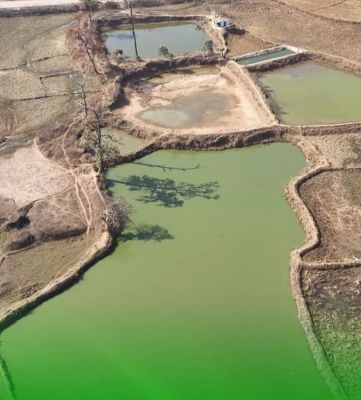 भीतघरा के किसान जनक यादव ने पांड लाइनर तकनीक से मछली पालन में रचा इतिहास, 4.20 लाख के अनुदान से बदली किस्मत और बन गए पूरे इलाके के लिए प्रेरणा!