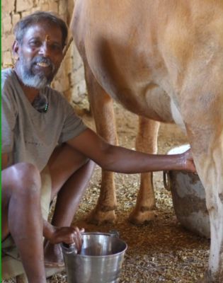 दूध उत्पादन से लेकर वर्मी कम्पोस्ट तक &mdash; एक ही काम से कई फायदे, मधुसुदन भगत का मॉडल दिखा रहा ग्रामीण अर्थव्यवस्था को मजबूत करने का रास्ता