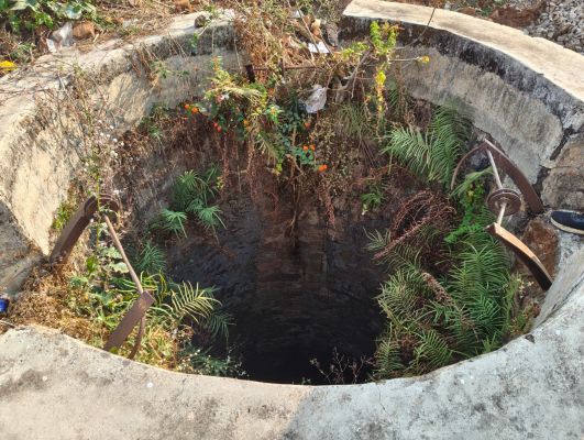 जनसमस्या पर युवा नेता की पहल, उपेक्षित कुएँ की सफाई की मांग -सफाई और मरम्मत की मांग पर नगरपालिका ने दिया त्वरित कार्रवाई का भरोसा&nbsp;