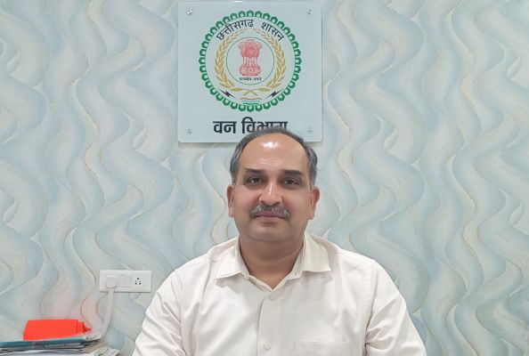 महुआ सीजन में आग की साजिश या लापरवाही? बादलखोल अभ्यारण्य में अलर्ट मोड पर विभाग &mdash; हर बीट में फायर वाचर, मिनटों में बुझाई जा रही आग, वन्यजीव पूरी तरह सुरक्षित