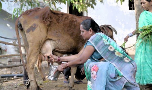 आत्मनिर्भरता की मिसाल: औराटोला बना बालोद का पहला &lsquo;लखपति दीदी ग्राम&rsquo;, महिलाओं की मेहनत ने बदली गांव की तकदीर