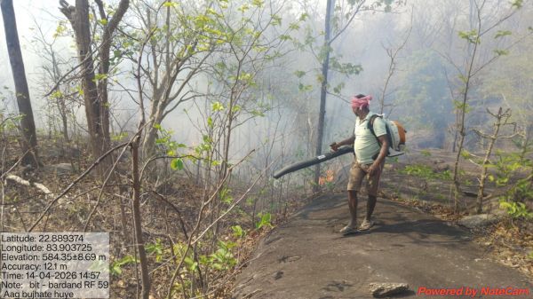  में बढ़ी जंगलों में आगजनी की घटनाएं, मधेस्वर पहाड़ और बादलखोल क्षेत्र में लगी आग पर वन विभाग व ग्रामीणों की मदद से पाया गया काबू