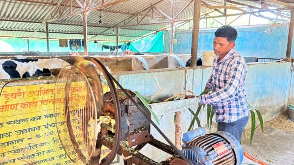 मजदूरी की बेड़ियां तोड़ &lsquo;मल्टी-फार्मिंग&rsquo; के नायक बने ललित यादव 6 गायों से शुरू हुआ सफर, आज 25 उन्नत पशुओं के साथ रच रहे