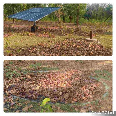 लाखों की लागत से बने सॉसर पिट बने लापरवाही के स्मारक: इस बिट में मिट्टी-पत्तों से पटे पड़े जलस्रोत, भीषण गर्मी में पानी के अभाव में जानवरों के गांवों की ओर भटकने का बढ़ा खतरा  , रेंज कार्यालय से महज 2 किमी दूर होने के बावजूद जिम्मेदार बेखबर