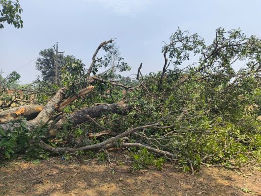 आंधी-तूफान ने बिगाड़ी बिजली व्यवस्था, महुआटोली-रमसमा-कजरा-पुटुकेला क्षेत्र में अंधेरा, टूटे 10 से अधिक विद्युत पोल, मरम्मत में जुटी विभागीय टीम