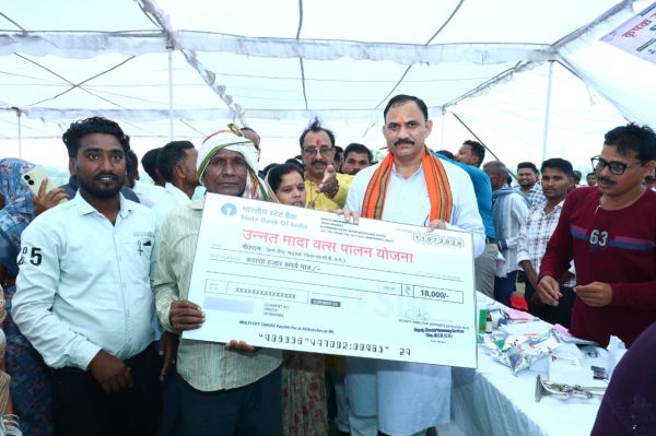 खड़गवां से शुरू हुआ 'मोर गांव मोर पानी' अभियान, 2000 पौधों के सामूहिक रोपण के साथ जल संरक्षण का लिया गया संकल्प; मंत्री श्याम बिहारी जायसवाल ने कहा&mdash; पेड़ बचेंगे तो भविष्य सुरक्षित रहेगा