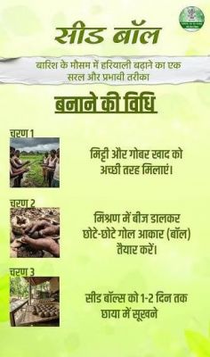 हरियाली की नई पहल: सीड बॉल अभियान से साकार हो रहा हरित छत्तीसगढ़ का संकल्प