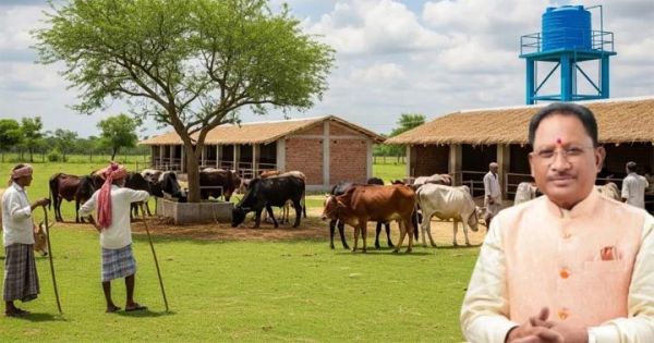 छत्तीसगढ़ में गौ-संरक्षण की बड़ी पहल: पूरे प्रदेश में बनेंगे 1,460 गौधाम, निराश्रित मवेशियों को मिलेगा सुरक्षित आश्रय