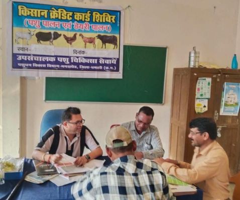 पशुपालन केसीसी से धमतरी के 93 पशुपालकों को मिली 98.62 लाख की वित्तीय संजीवनी,ग्रामीण आजीविका को मिली नई उड़ान