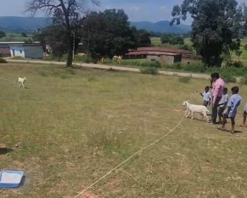 पहाड़ की गोद में सजी गणित की अनोखी पाठशाला, खूँटी बनी केंद्र और रस्सी बनी त्रिज्या, बकरी के घूमने से बच्चों ने जमीन पर समझा वृत्त का पूरा गणित