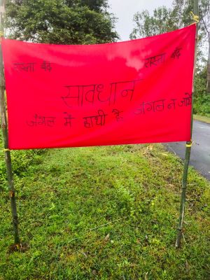पत्थलगांव के खड़ामाचा जंगल में विचरण कर रहा 30 हाथियों का दल, वन विभाग ने बैनर लगाकर ग्रामीणों को किया सतर्क, जंगल क्षेत्र में जाने से बचने की दी समझाइश